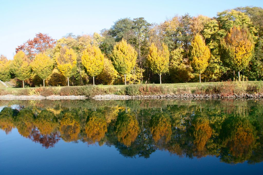 Ein gutes Immunsystem im Herbst als Schutz gegen Infekte
