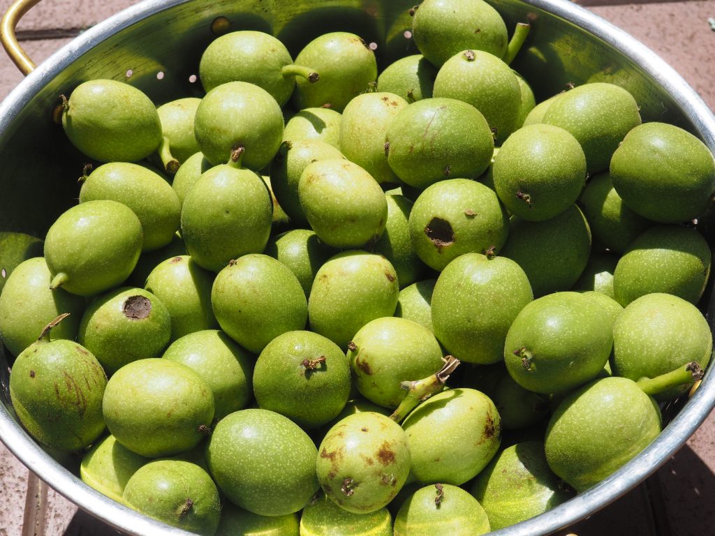 Walnüsse enthalten wertvolle Omega 3 Fettsäuren