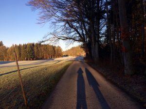 Vitamin D: nur wenn unser Schatten kleiner ist als wir selbst